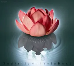 2025年最新】サディスティックミカ バンド DVDの人気アイテム