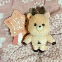 RIIZE ソンチャン セット まとめ売り トレカ ぬいぐるみ RIIZE ソンチャン トレカ151枚 ぬいぐるみ まとめ売り 2025年