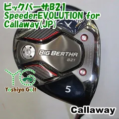 2025年最新】ビックバーサ b21の人気アイテム - メルカリ