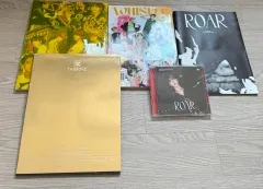 THE BOYZ(ザ・ボーイズ・ドボイズ) 公開 アルバム まとめ売り