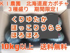 北海道産カボチャ3種 10kg KG農園 訳あり＊送料無料 - メルカリ