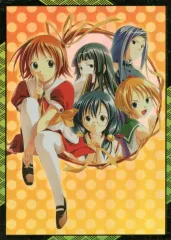 らいむいろ シリーズ全16巻セット ブロマイド等の特典付き 2025年最新