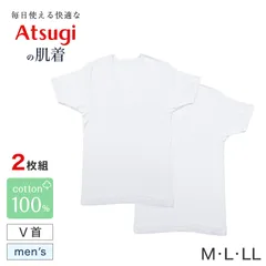 メンズ 半袖 綿100% V首 インナー tシャツ 2枚組 アツギ 半袖シャツ vネック コットン 綿 肌に優しい M L LL 敏感肌 紳士 肌着 下着 男 アンダーウェア まとめ買い