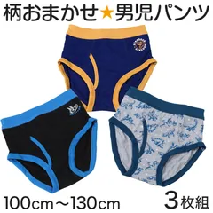 男児 柄おまかせ 前あきブリーフ 3枚組 100 110 120 130 cm 福袋 子供 インナー 子供用 肌着 小学生 子ども まとめ買い 3枚組 男児 男子 キッズ用 子供用 子ども用 ボーイズ boys 前あきブリーフ 前開きパンツ 下着 肌着