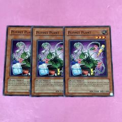 ポケモンカード バトラーの手品 バトラーのボーマンダ バトラーの