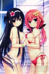 【中古】タペストリー [単品] 常盤華乃＆鎌倉詩桜 描き下ろしB2タペストリー 「PS4/Switchソフト ハミダシクリエイティブ 初回限定特装版」 同梱特典