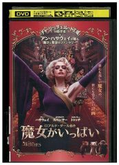 DVD 逢いたい時にあなたはいない 中山美穂 大鶴義丹 全6巻 ※ケース無し