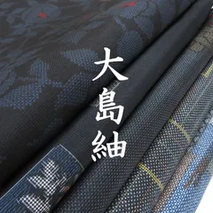 2025年最新】大島紬まとめの人気アイテム - メルカリ