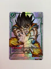 081[PK]Y2421(カード) 孫悟空 FB05-053 目立った傷や汚れなし 10/31出品