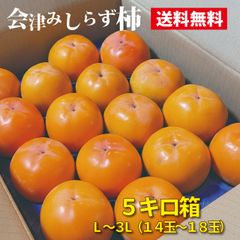2025年出荷 会津みしらず柿5キロ箱（大ぶりL～3Lサイズ/14玉～18玉）【会津産】【渋抜き済み】直ぐに食べれます。【11月1日発売開始】