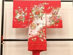 Item thumbnail for item 41b3fa3b-fc00-4007-9c02-77245771234f