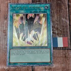 遊戯王 英語版 シード・オブ・フレイム レリーフ - メルカリ