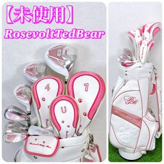 PING G20 i20 / ピン メンズゴルフクラブ 10本セット キャディ