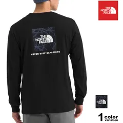 ノースフェイス THE NORTH FACE Tシャツ 長袖 ロンT バックプリント M Evolution Sun Halos Box NSE L/S Tee メンズ トップス nf0a8evt