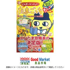 すぐできる霊力・呪文・おまじない 飛鳥広章 すぐできる霊力・呪文
