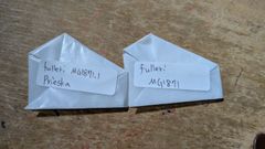 テフロカクタス　SSAナンバー種子　62種類　5粒ずつセット テフロカクタス ゲオメトリクス SSAナンバー種子 8種類5粒ずつセット