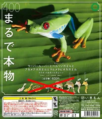 ネイチャーテクニカラーMONO PLUS ウーパールーパーとベルツノガエルと アカメアマガエルとマルメタピオカガエル ボールチェーン＆マグネット × 3種セット フィギュア ウーパールーパー 白 黄 ボールチェーン マグネット