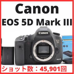 F18[6617A]40☆ほぼ未使用☆ キヤノン Canon EOS 70D ボディ