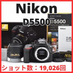 J23[6992]6 ニコン Nikon D3100 ボディ 【ショット数 10,058回