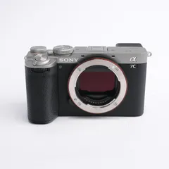 2025年最新】α7CIIの人気アイテム - メルカリ