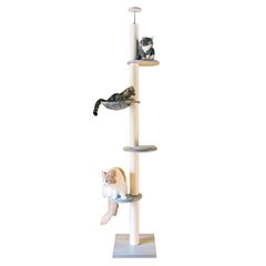 Item thumbnail for item 40f2cca5-2e86-48fc-b1a8-ee059ea14c28