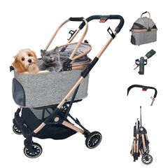 Item thumbnail for item dcb23d9d-306f-44ad-b997-9156401f55cd