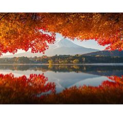 Item thumbnail for item 8cfa38df-b52b-4a4b-b8b6-a26426cba3ae