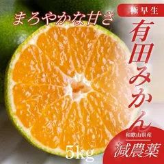 ★有田みかん 極早生 ゆら早生5㎏ ミカン 減農薬 産地直送 高糖度3110