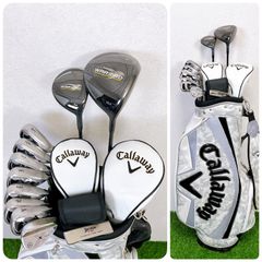 PING G20 i20 / ピン メンズゴルフクラブ 10本セット キャディ