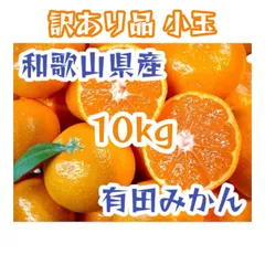 和歌山県産 有田みかん 訳あり品 小玉 10kg