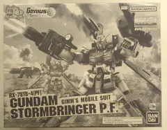 MG　1/100 ガンダムビルドダイバーズ ガンダムストームブリンガー P.F. Amazon | MG 1/100 ガンダムストームブリンガー P.F