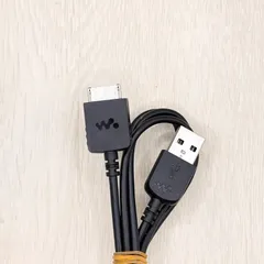 2025年最新】sony nw-s315の人気アイテム - メルカリ