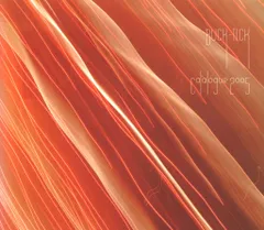 2025年最新】buck-tick catalogue 2005の人気アイテム - メルカリ