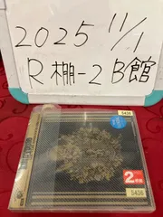 黒夢 オフィシャルファンクラブ初期FC会報 ステッカー ポストカード 黒夢 オフィシャルファンクラブ初期FC会報 ステッカー ポストカード