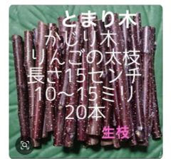 Item thumbnail for item f0716953-1e9c-4a10-aa6c-544bfdb1eef9