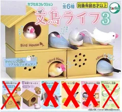 文鳥ライフ3 × 新居でまったり(白文鳥) 1個単品 文鳥ライフ 文鳥 ライフ ガチャ ガチャガチャ カプセルトイ