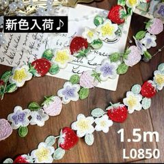 Item thumbnail for item 92669ced-0bb7-4e88-9271-fa9177bedae5