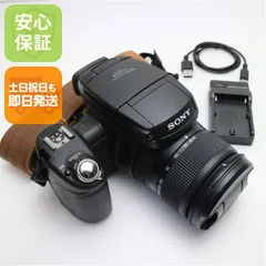 SANYO デジタルカメラ DSC-R1 付属品完備 コンパクトデジカメ 三洋電機