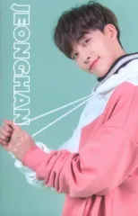 SEVENTEEN 2020 4TH FAN MEETING CARAT LAND JEONGHAN トレーディングカード 0067