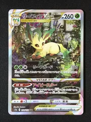 2025年最新】リーフィアvstar sarの人気アイテム - メルカリ