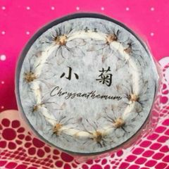 PET 锦瑟青花 6cm×5m 500cm/loop ダイカット加工 海外マスキングテープ