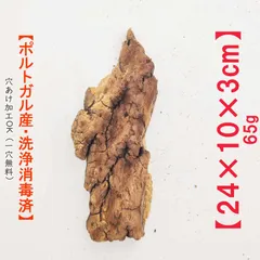 2025年最新】コルク樹皮 キャノンの人気アイテム - メルカリ