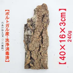 2025年最新】コルク樹皮 キャノンの人気アイテム - メルカリ