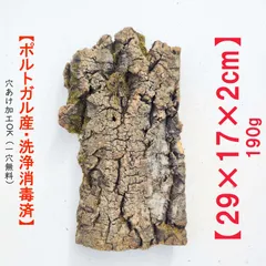 【特大】5本まとめて　バージンコルク　キャノン型 特大】5本まとめて バージンコルク キャノン型 2025年最新】コルク樹皮