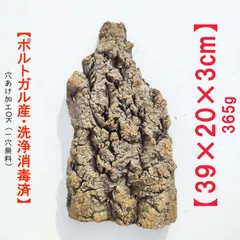 2025年最新】コルク樹皮 キャノンの人気アイテム - メルカリ