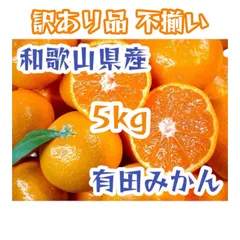 和歌山県産 有田みかん 訳あり品 ミックスサイズ 5kg