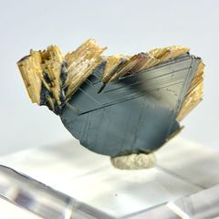アルタイ隕石 鉄隕石 外皮付き隕石 エンドカット 原石 重さ約166g