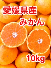【愛媛・西宇和産】みかん家庭用10kg／甘味と酸味のバランス／訳あり・大小混合🍊