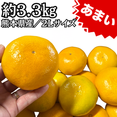 再入荷/寿 みかん 熊本県産 ミカン 糖度11度以上 3.3㎏ 2Lサイズ 秀品 小分け販売 秋の果物 フルーツ