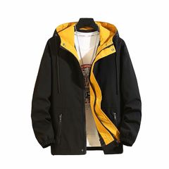 Item thumbnail for item 6bfcc353-3e4a-45ec-b930-d3e4a172523f